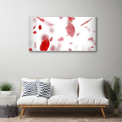 Acrylic Print Rose petals floral red white