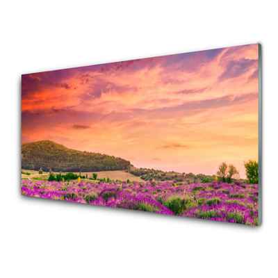 Acrylic Print Meadow flowers landscape purple green pink