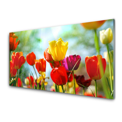 Acrylic Print Flowers floral red yellow pink green