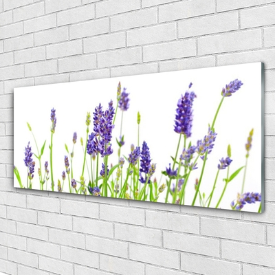 Acrylic Print Flowers floral purple green white