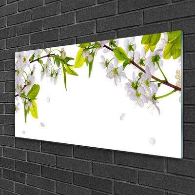 Acrylic Print Petals nature white green
