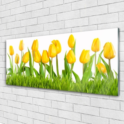 Acrylic Print Tulips floral yellow green white