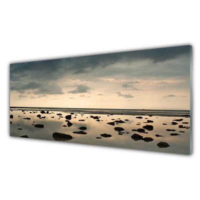 Acrylic Print Water landscape grey