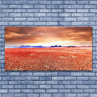 Acrylic Print Desert landscape red blue