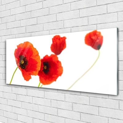 Acrylic Print Flowers floral red green