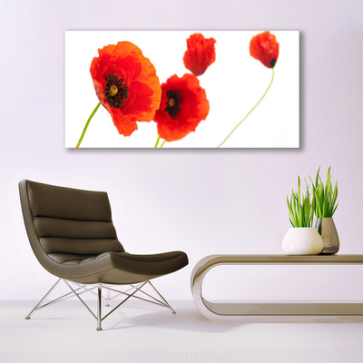 Acrylic Print Flowers floral red green