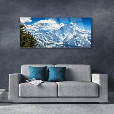 Acrylic Print Mountain tree landscape blue white green