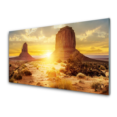 Acrylic Print Desert sun landscape yellow brown green