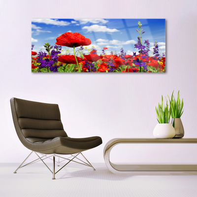 Acrylic Print Flowers nature red blue purple green