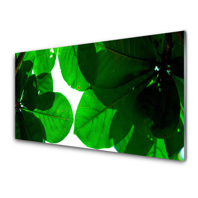 Acrylic Print Leaves floral green