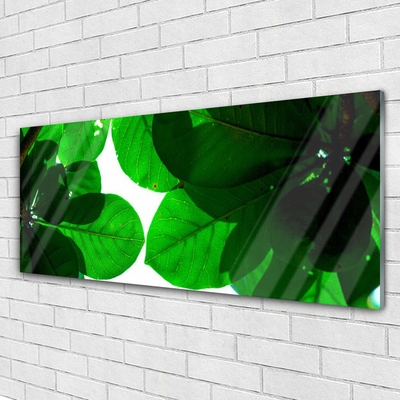 Acrylic Print Leaves floral green