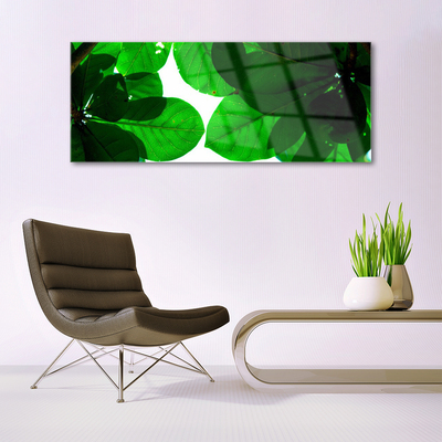 Acrylic Print Leaves floral green