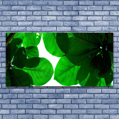 Acrylic Print Leaves floral green