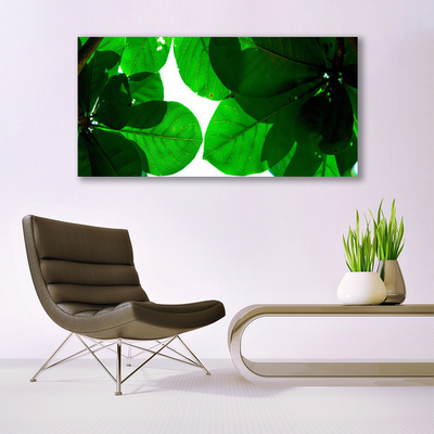 Acrylic Print Leaves floral green