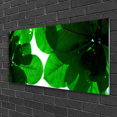 Acrylic Print Leaves floral green