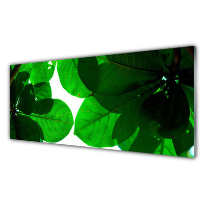 Acrylic Print Leaves floral green