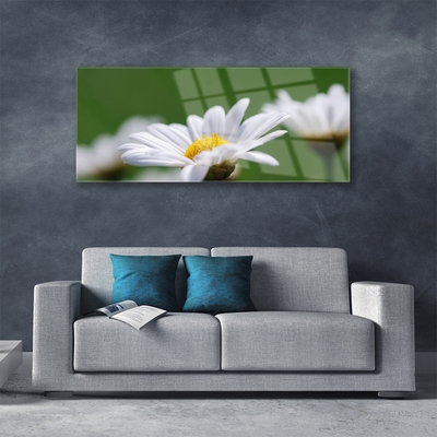 Acrylic Print Daisy floral white yellow green