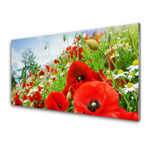 Acrylic Print Flowers nature red green