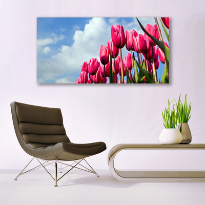 Acrylic Print Tulip floral pink green
