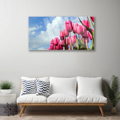 Acrylic Print Tulip floral pink green