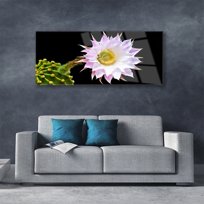 Acrylic Print Flower floral pink white yellow green