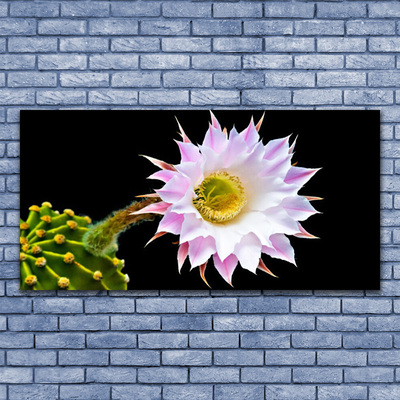 Acrylic Print Flower floral pink white yellow green