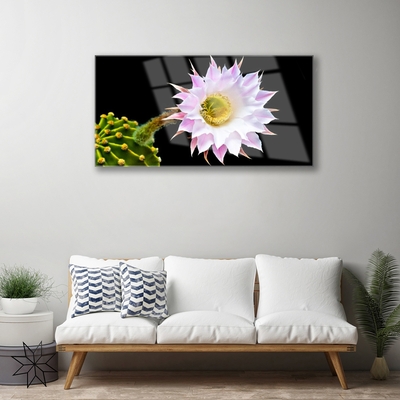 Acrylic Print Flower floral pink white yellow green