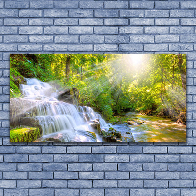 Acrylic Print Waterfall forest nature white brown green