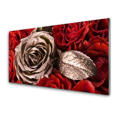 Acrylic Print Roses floral red