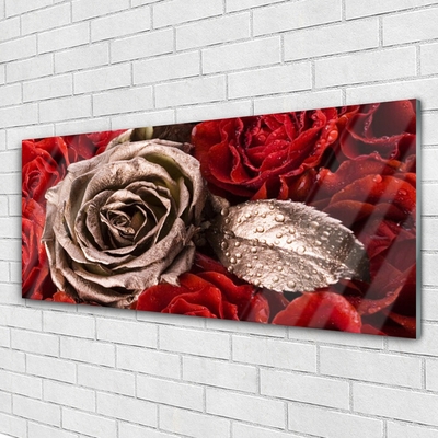 Acrylic Print Roses floral red