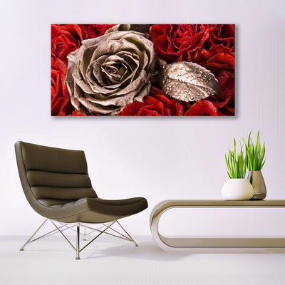 Acrylic Print Roses floral red