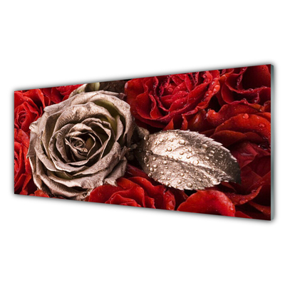 Acrylic Print Roses floral red