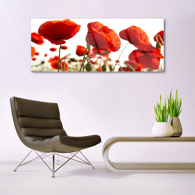 Acrylic Print Tulips floral red white