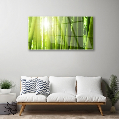 Acrylic Print Bamboo floral green