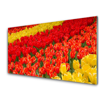 Acrylic Print Tulips floral red yellow