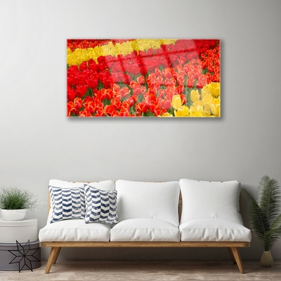 Acrylic Print Tulips floral red yellow