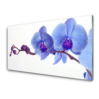 Acrylic Print Flowers floral blue purple