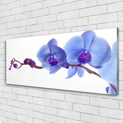 Acrylic Print Flowers floral blue purple