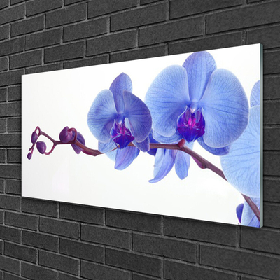 Acrylic Print Flowers floral blue purple