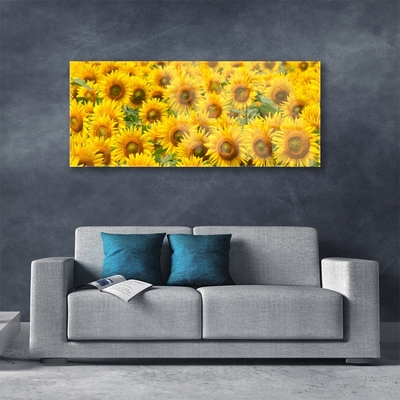 Acrylic Print Sunflowers floral yellow brown green