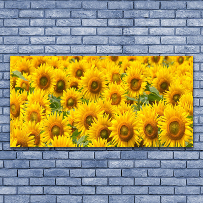 Acrylic Print Sunflowers floral yellow brown green