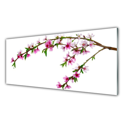Acrylic Print Branch flowers nature pink purple green brown