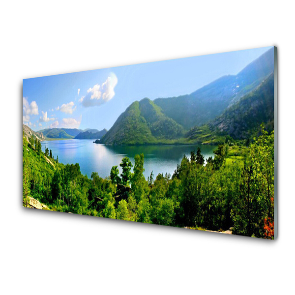 Acrylic Print Forest lake mountains landscape green blue