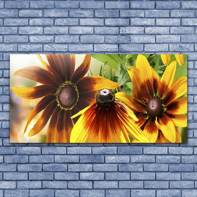 Acrylic Print Flowers floral brown yellow