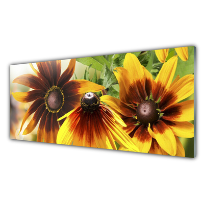 Acrylic Print Flowers floral brown yellow