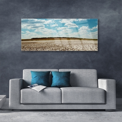 Acrylic Print Desert landscape grey green