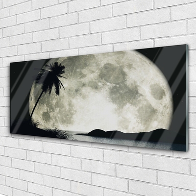 Acrylic Print Night moon palm landscape black grey white