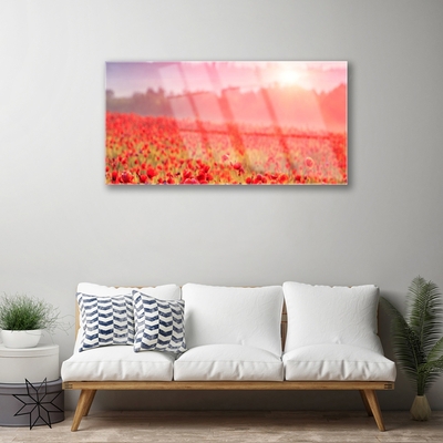 Acrylic Print Meadow flowers nature red green