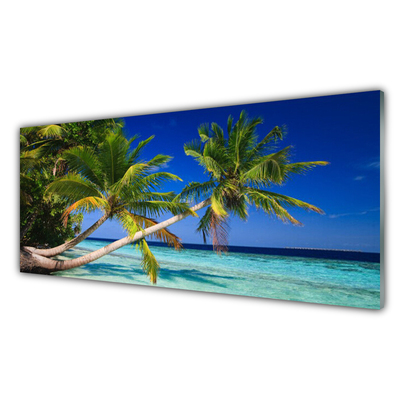 Acrylic Print Palm tree sea landscape green blue brown