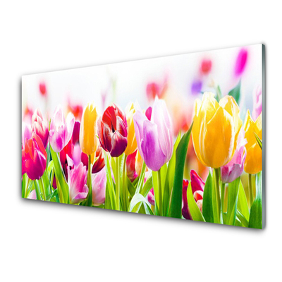 Acrylic Print Tulips floral red pink green